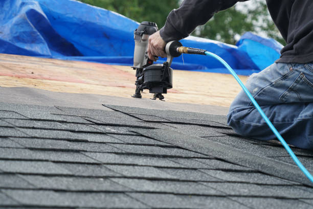 Best Roof Maintenance and Cleaning  in Belpre, OH